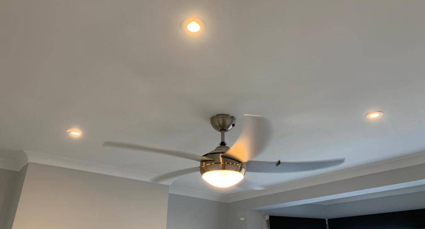 Fan